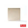 1G 1W PLATE SWITCH GOLD