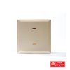 45A SWITCH WITH NEON GOLD