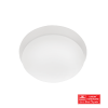 BST CF 017 LARGE WHITE