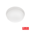 BST CF017 SMALL WHITE