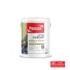 PLASCON TRUE COLOUR BRILLIANT SHEEN PAST