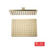 MES MIELA CHROME SHOWER ROSE 1 FUNCTION  285X195