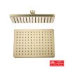MES MIELA SATIN BRASS SHOWER ROSE 1 FNCTN 285X195
