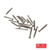BLM STAINLESS SCREW