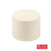 CPVC END CAP 20MM