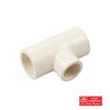 CPVC DOUBLE SOCKET 20MM