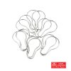 KC SHOWER RING GALVANISED 12 P/PACK