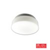 BST CHEESE FITTING GLASS SMALL